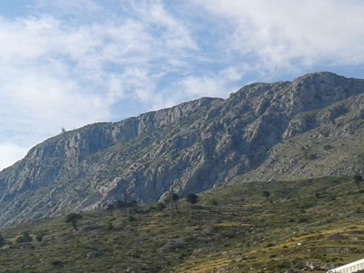 Boris Omis